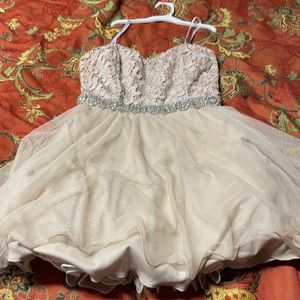Dress, never worn , tag missing tan with shimmer
